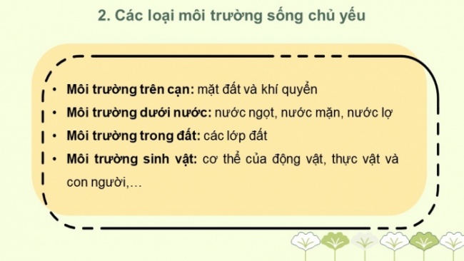 Soạn giáo án điện tử KHTN 8 KNTT Bài 41: Môi trường và các nhân tố sinh thái