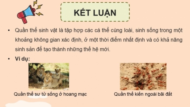 Soạn giáo án điện tử KHTN 8 KNTT Bài 42: Quần thể sinh vật