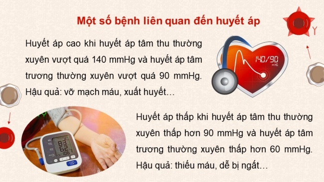 Soạn giáo án điện tử sinh học 11 KNTT Bài 10: Tuần hoàn ở động vật (P2)