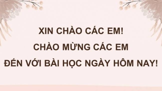 Soạn giáo án điện tử tiếng việt 4 KNTT Bài Ôn tập và đánh giá giữa học kì II