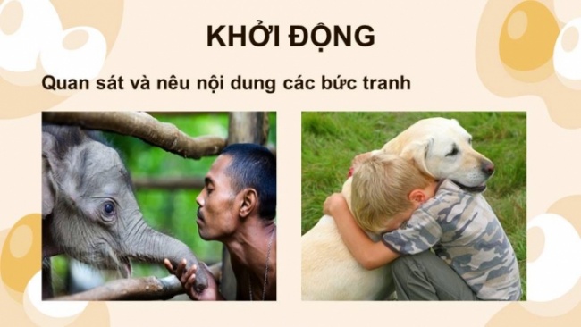 Soạn giáo án điện tử tiếng việt 4 KNTT Bài 8 Đọc: Đọc mở rộng