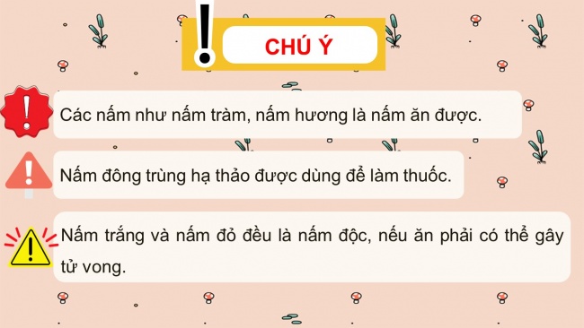 Soạn giáo án điện tử khoa học 4 cánh diều Bài 15: Nấm và một số nấm được dùng làm thức ăn