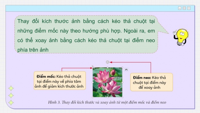 Soạn giáo án điện tử tin học 4 cánh diều Chủ đề E2 Bài 4: Chèn ảnh vào văn bản