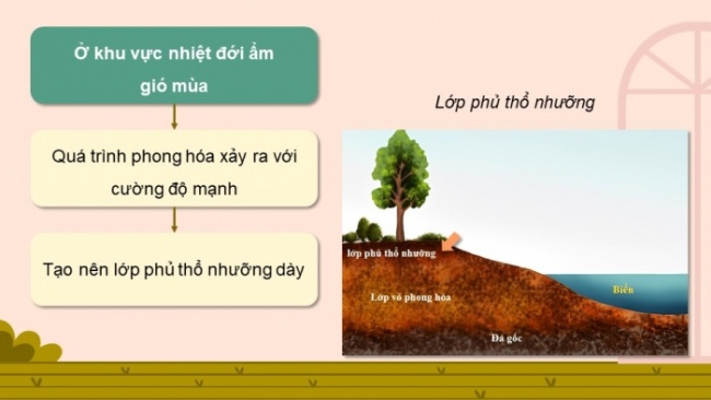 Soạn giáo án điện tử Địa lí 8 CTST Bài 11: Đặc điểm chung và sự phân bố của lớp phủ thổ nhưỡng