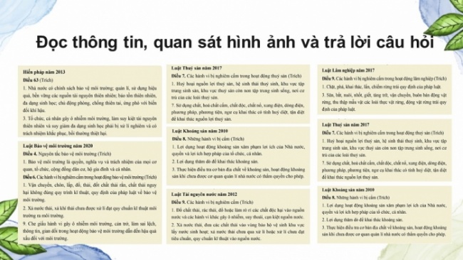 Soạn giáo án điện tử Công dân 8 CD Bài 5: Bảo vệ môi trường và tài nguyên thiên nhiên