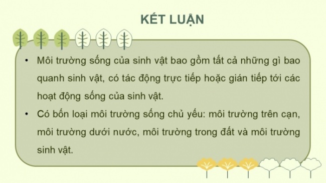 Soạn giáo án điện tử KHTN 8 CD Bài 38: Môi trường và các nhân tố sinh thái