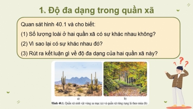 Soạn giáo án điện tử KHTN 8 CD Bài 40: Quần xã sinh vật