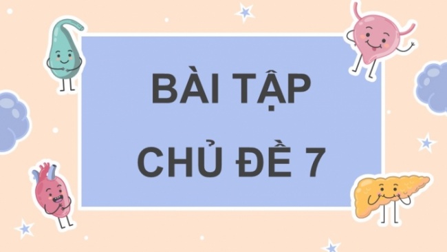 Soạn giáo án điện tử KHTN 8 CD: Bài tập (Chủ đề 7)