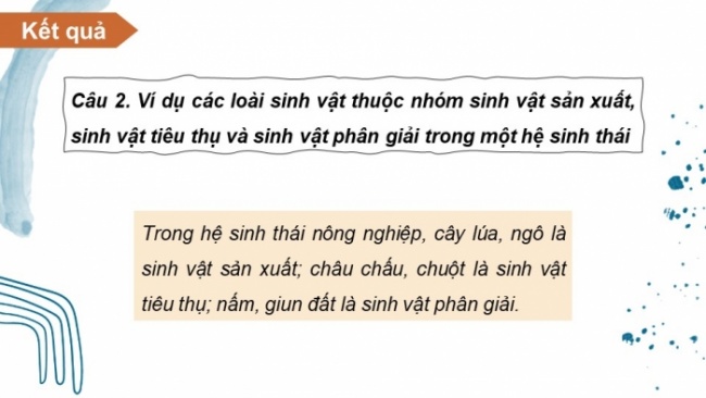 Soạn giáo án điện tử KHTN 8 KNTT Bài 44: Hệ sinh thái