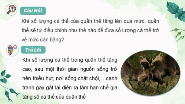 Soạn giáo án điện tử KHTN 8 KNTT Bài 46: Cân bằng tự nhiên