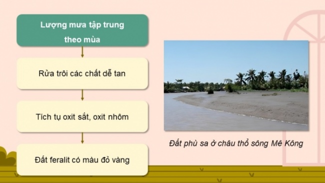 Soạn giáo án điện tử Địa lí 8 CTST Bài 11: Đặc điểm chung và sự phân bố của lớp phủ thổ nhưỡng