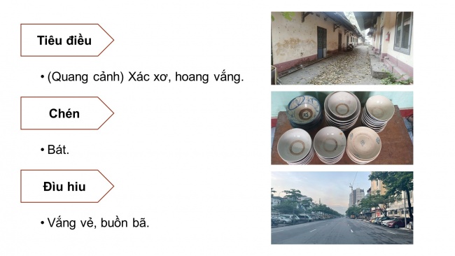 Soạn giáo án điện tử tiếng việt 4 cánh diều Bài 11 Đọc 3: Những hạt gạo ân tình