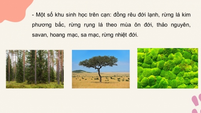 Soạn giáo án điện tử KHTN 8 CD Bài 43: Khái quát về Sinh quyển và các khu sinh học