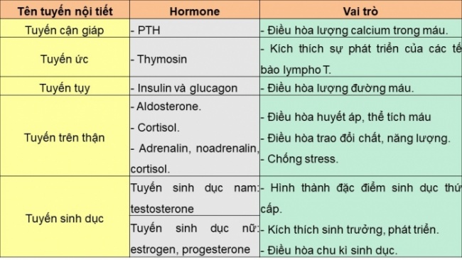 Soạn giáo án điện tử KHTN 8 CD Bài 35: Hệ nội tiết ở người