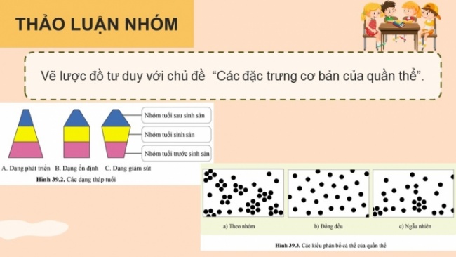 Soạn giáo án điện tử KHTN 8 CD Bài 39: Quần thể sinh vật