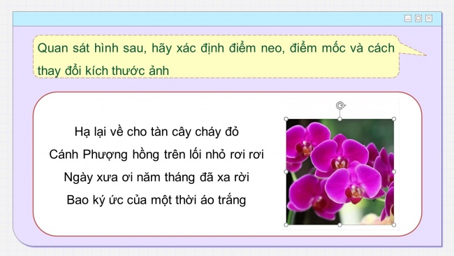 Soạn giáo án điện tử tin học 4 cánh diều Chủ đề E2 Bài 4: Chèn ảnh vào văn bản