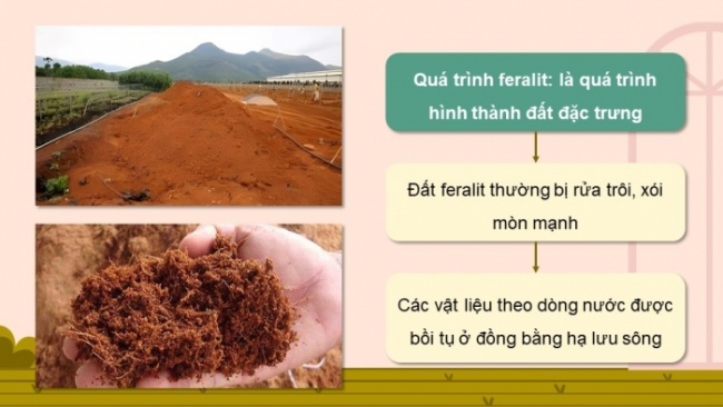 Soạn giáo án điện tử Địa lí 8 CTST Bài 11: Đặc điểm chung và sự phân bố của lớp phủ thổ nhưỡng