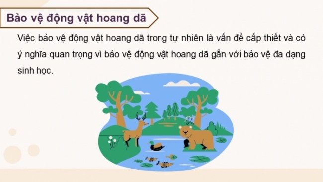 Soạn giáo án điện tử KHTN 8 CD Bài 42: Cân bằng tự nhiên và bảo vệ môi trường