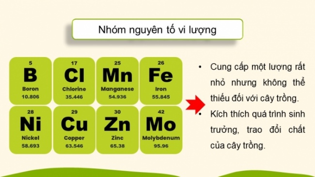 Soạn giáo án điện tử KHTN 8 CD Bài 13: Phân bón hoá học