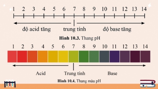 Soạn giáo án điện tử KHTN 8 CD: Bài tập (Chủ đề 2)