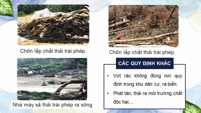 Soạn giáo án điện tử Công dân 8 CD Bài 5: Bảo vệ môi trường và tài nguyên thiên nhiên