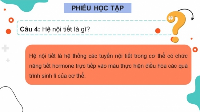 Soạn giáo án điện tử KHTN 8 CD Bài 35: Hệ nội tiết ở người
