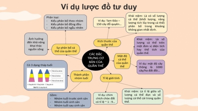 Soạn giáo án điện tử KHTN 8 CD Bài 39: Quần thể sinh vật