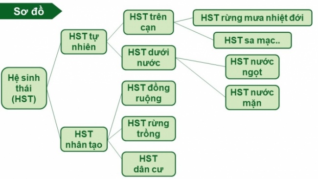 Soạn giáo án điện tử KHTN 8 KNTT Bài 44: Hệ sinh thái