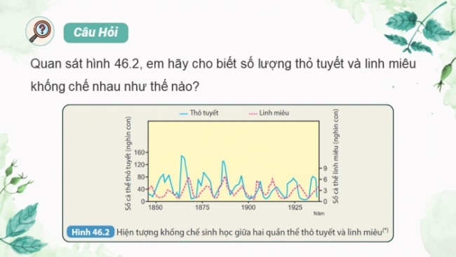 Soạn giáo án điện tử KHTN 8 KNTT Bài 46: Cân bằng tự nhiên