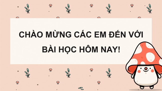 Soạn giáo án điện tử khoa học 4 cánh diều Bài 15: Nấm và một số nấm được dùng làm thức ăn