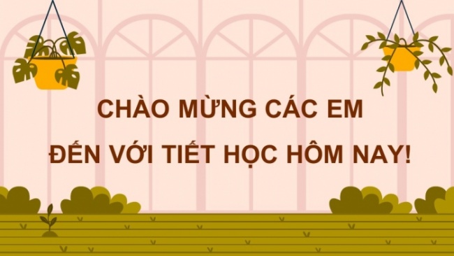 Soạn giáo án điện tử Địa lí 8 CTST Bài 11: Đặc điểm chung và sự phân bố của lớp phủ thổ nhưỡng