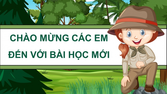 Soạn giáo án điện tử toán 4 KNTT Bài 52: Luyện tập chung