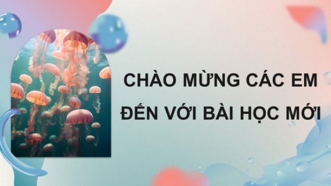 Soạn giáo án điện tử Địa lí 8 KNTT Bài 12: Môi trường và tài nguyên biển đảo Việt Nam