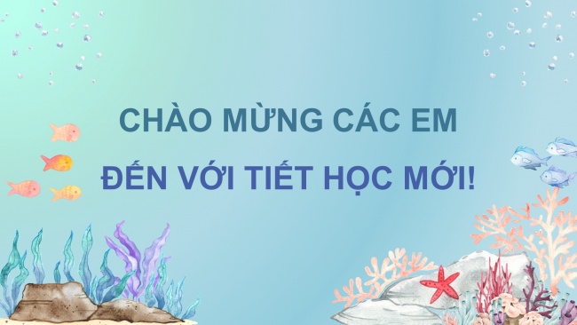 Soạn giáo án điện tử âm nhạc 4 CTST CĐ5 Tiết 3: Thường thức âm nhạc: Nàng Tiên cá và giọng hát diệu kì