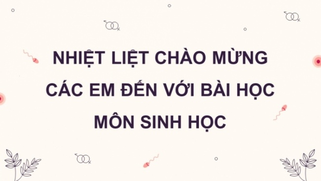 Soạn giáo án điện tử KHTN 8 CD Bài 37: Sinh sản ở người