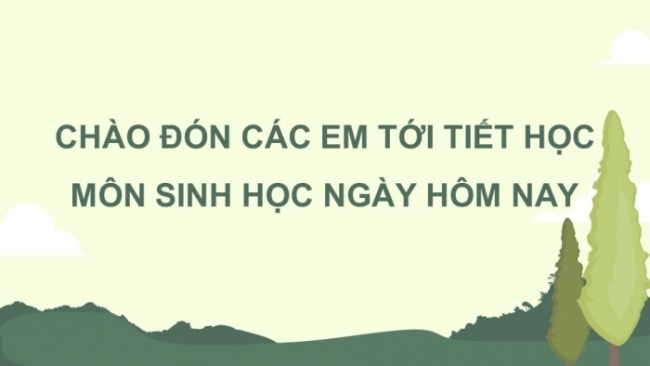 Soạn giáo án điện tử KHTN 8 CD Bài 38: Môi trường và các nhân tố sinh thái