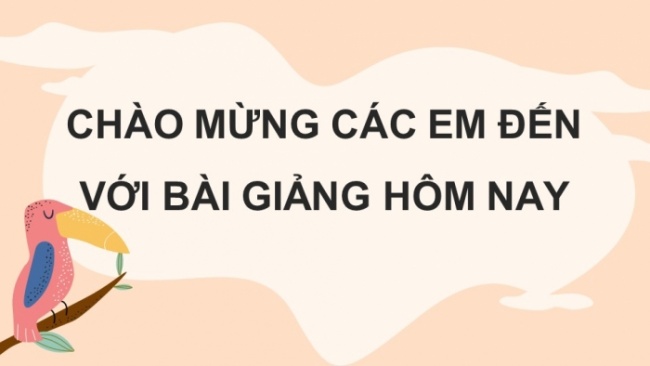 Soạn giáo án điện tử KHTN 8 CD Bài 39: Quần thể sinh vật