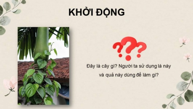 Soạn giáo án điện tử Ngữ văn 8 CD Bài 7 Đọc 1: Mời trầu