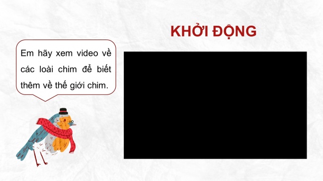 Soạn giáo án điện tử tiếng việt 4 cánh diều Bài 13 Nói và nghe 1: Kể chuyện: Chuyện của loài chim