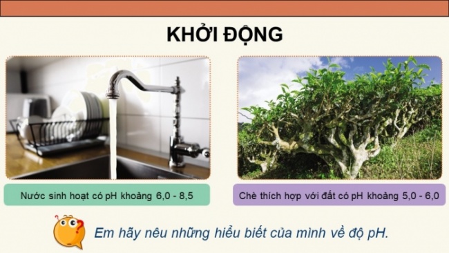 Soạn giáo án điện tử KHTN 8 CD Bài 10: Thang pH