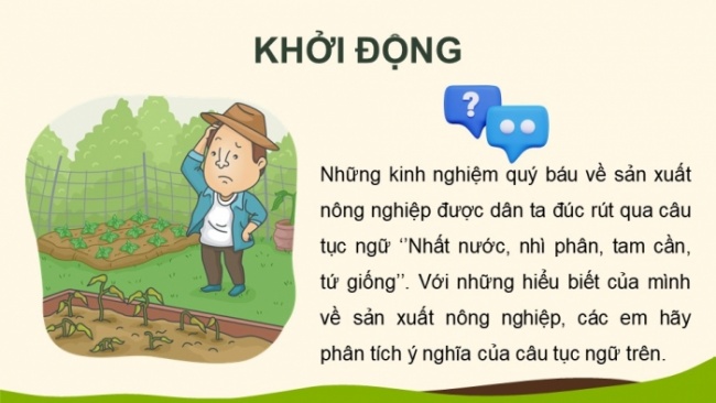 Soạn giáo án điện tử KHTN 8 CD Bài 13: Phân bón hoá học