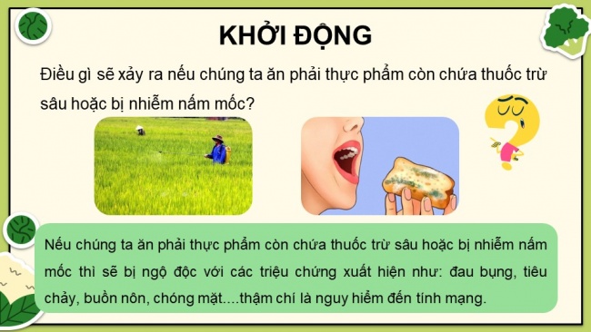 Soạn giáo án điện tử khoa học 4 cánh diều Bài 19: Thực phẩm an toàn