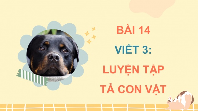 Soạn giáo án điện tử tiếng việt 4 cánh diều Bài 14 Viết 3: Luyện tập tả con vật