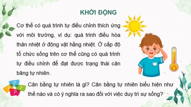 Soạn giáo án điện tử KHTN 8 KNTT Bài 46: Cân bằng tự nhiên