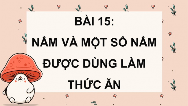 Soạn giáo án điện tử khoa học 4 cánh diều Bài 15: Nấm và một số nấm được dùng làm thức ăn