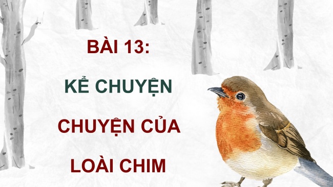 Soạn giáo án điện tử tiếng việt 4 cánh diều Bài 13 Nói và nghe 1: Kể chuyện: Chuyện của loài chim