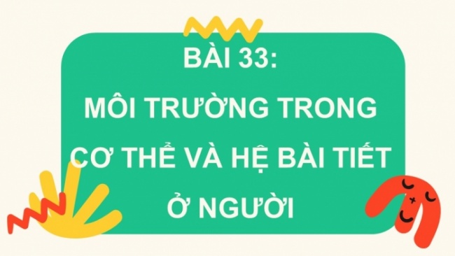 Soạn giáo án điện tử KHTN 8 CD Bài 33: Môi trường trong cơ thể và hệ bài tiết ở người