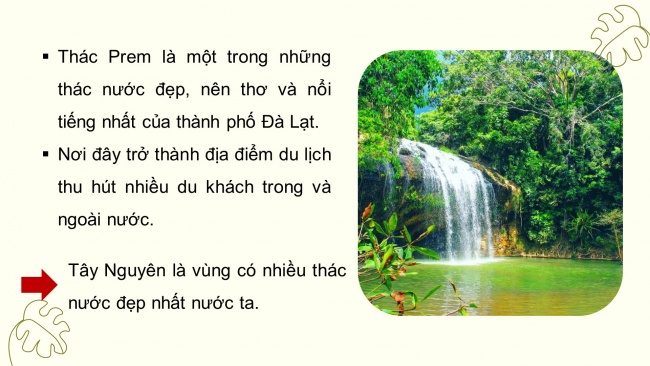 Soạn giáo án điện tử lịch sử và địa lí 4 cánh diều Bài 15: Thiên nhiên vùng Tây Nguyên