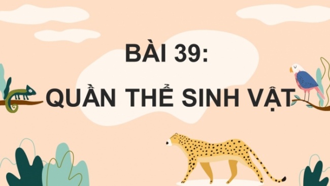 Soạn giáo án điện tử KHTN 8 CD Bài 39: Quần thể sinh vật