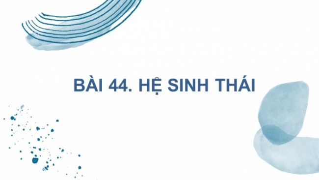 Soạn giáo án điện tử KHTN 8 KNTT Bài 44: Hệ sinh thái